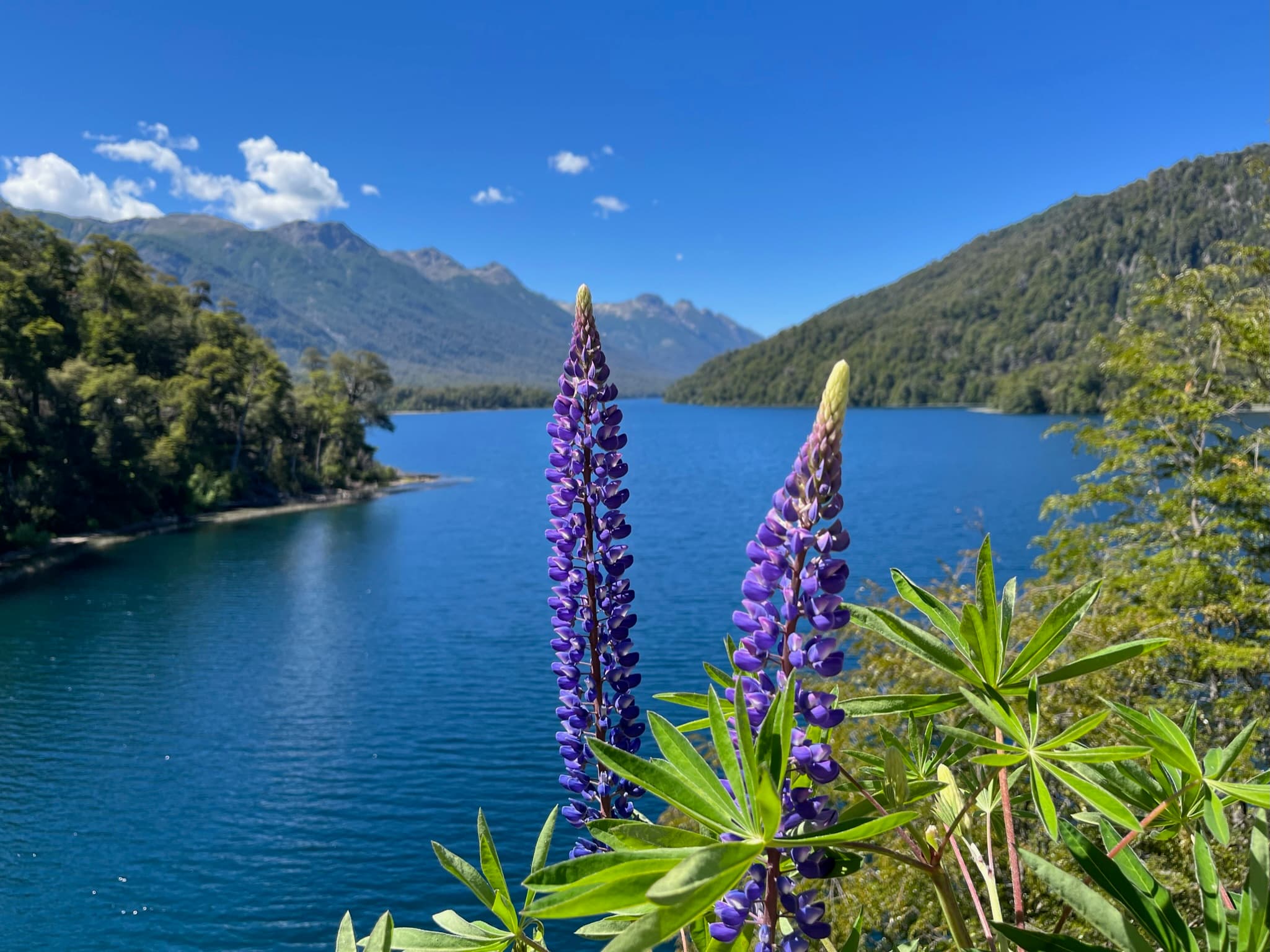 Patagonia, Argentina